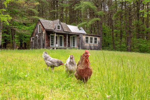 236 Dorland Rd, Old Chatham, NY, 12136-3004 | Card Image