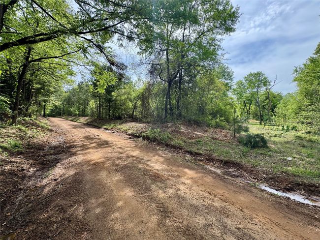 0 County Road 2742, Home with 0 bedrooms, 0 bathrooms and null parking in Naples TX | Image 9