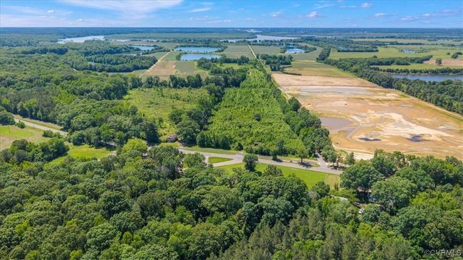 Aerial view of a forest and a nearby body of water | Image 8