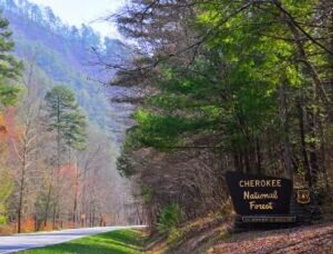 884 Ducks Nest Rd, House other with 1 bedrooms, 1 bathrooms and null parking in Turtletown TN | Image 11