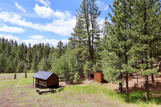 View of yard with an outbuilding and a view of trees | Image 37