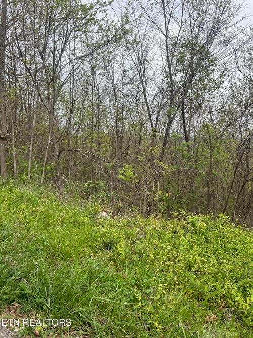 8 Hickory Pointe Ln, Maynardville, TN, 37807 | Card Image