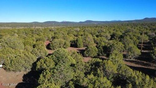 10 County Road N 3071, Vernon, AZ, 85940 | Card Image