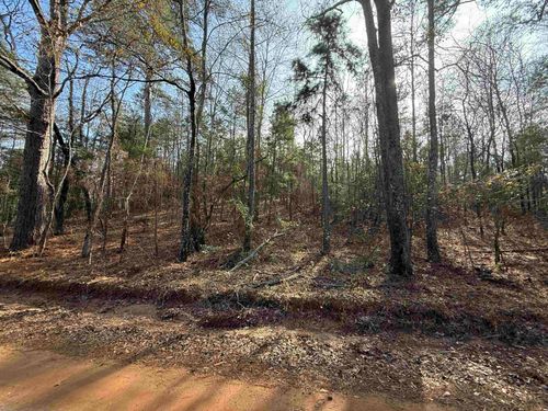TBD Cr 2733, Marietta, TX, 75566 | Card Image