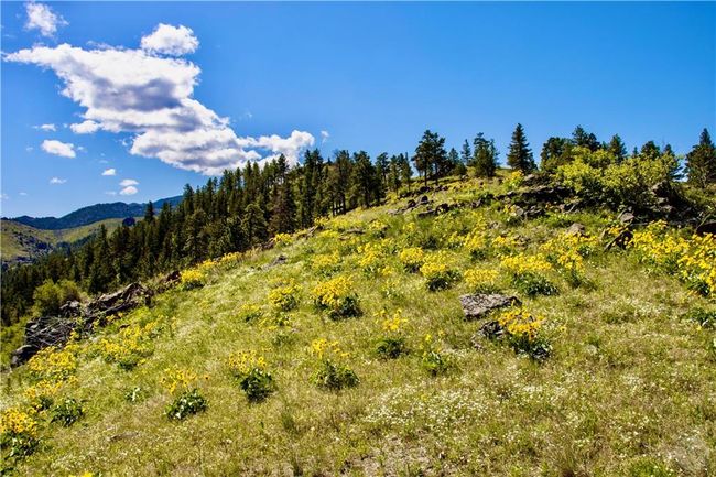 0 Novak Creek Ln, Home with 0 bedrooms, 0 bathrooms and null parking in Cascade MT | Image 24