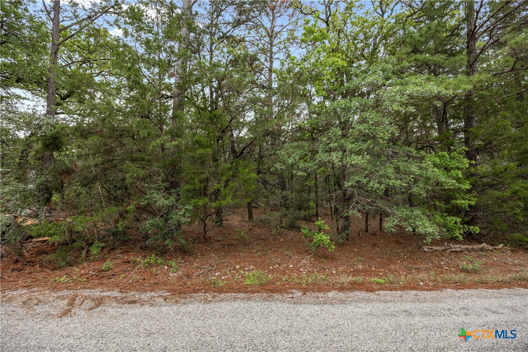 Land in Smithville 5