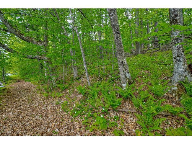 N872 County Highway Md, Home with 0 bedrooms, 0 bathrooms and null parking in SARONA WI | Image 14