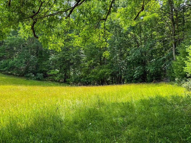 2486 Laurel Fork Rd, Home with 0 bedrooms, 0 bathrooms and null parking in Rocky Gap VA | Image 36