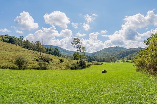 214 Comers Creek Rd, Home with 0 bedrooms, 0 bathrooms and null parking in Sugar Grove VA | Image 25