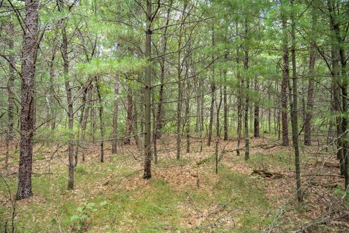 Lot 44 Morros Mile Road, Germantown, WI, 54646 | Card Image
