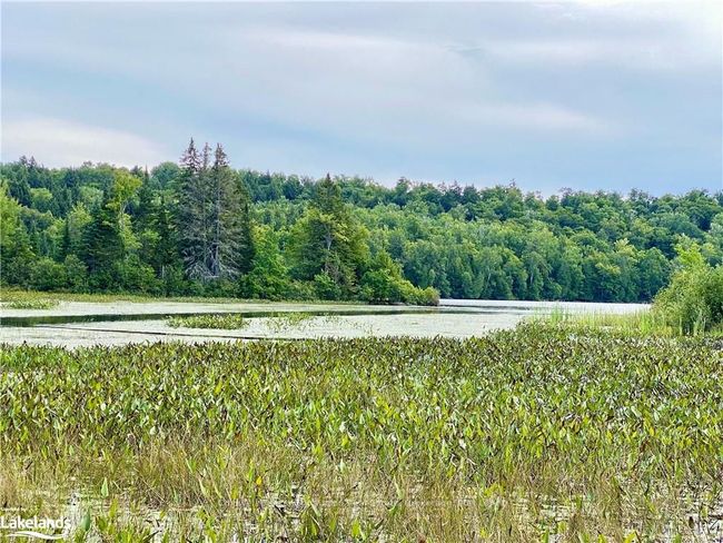 22-A Maple Dr, Home with 0 bedrooms, 0 bathrooms and null parking in Loring ON | Image 9