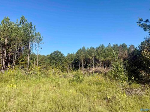 368 Jones Chapel Road, Piedmont, AL, 36272 | Card Image