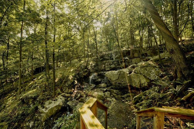 View of tree filled area | Image 28