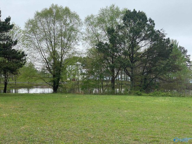 Lot 302 Main Street, Home with 0 bedrooms, 0 bathrooms and null parking in Pisgah AL | Image 1
