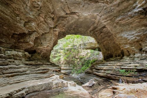 299 Natural Bridge Park Rd, Waynesboro, TN, 38485-5313 | Card Image