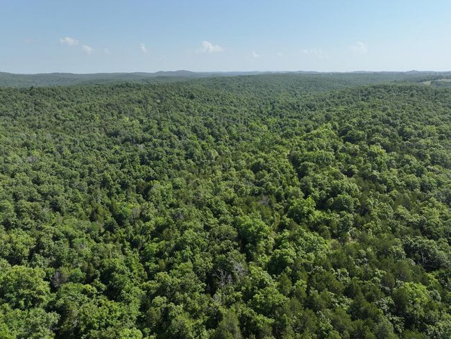 dji_fly_20250620_103140_0026_17504331101 | Image 20