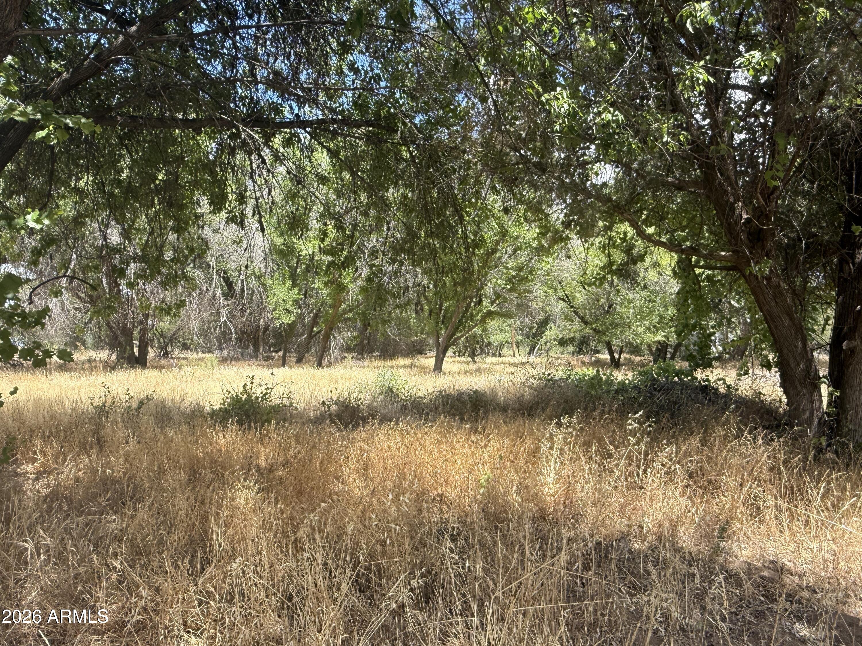 Land in Camp Verde