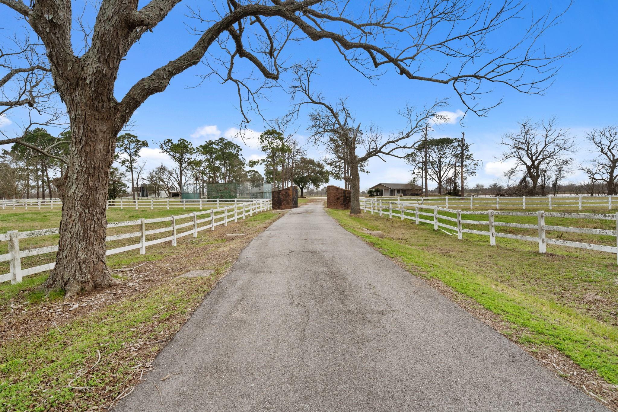 Farm in Rosharon 5
