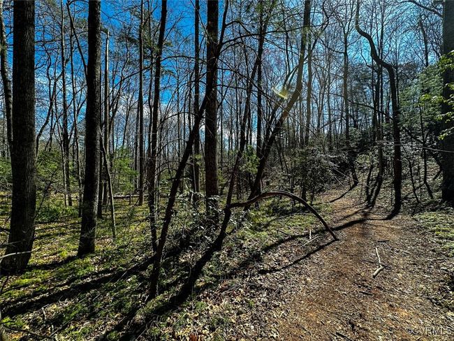 41.18 Acres (Off Of) Pole Bridge Rd, Home with 0 bedrooms, 0 bathrooms and null parking in Stuart VA | Image 21