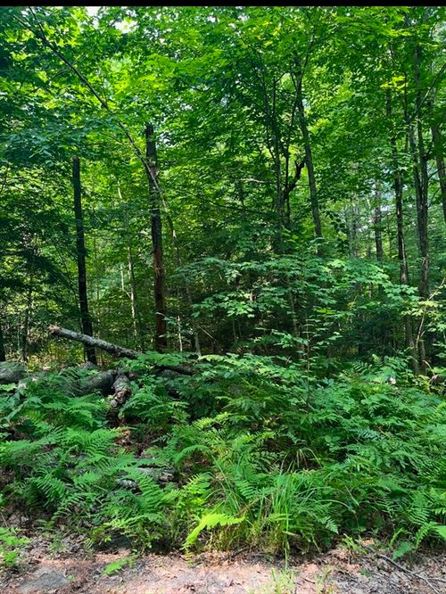 0 Laurel Lake Rd, Royalston, MA, 01368 | Card Image