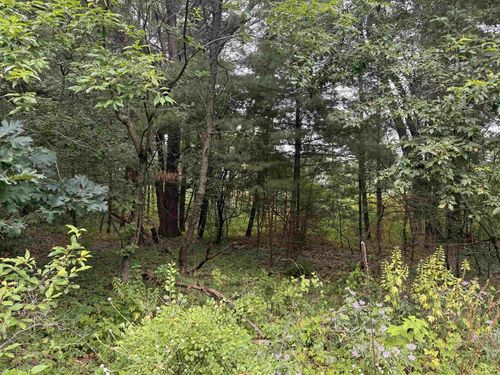 0.46 AC Busse Lane, Delton, WI, 53940 | Card Image