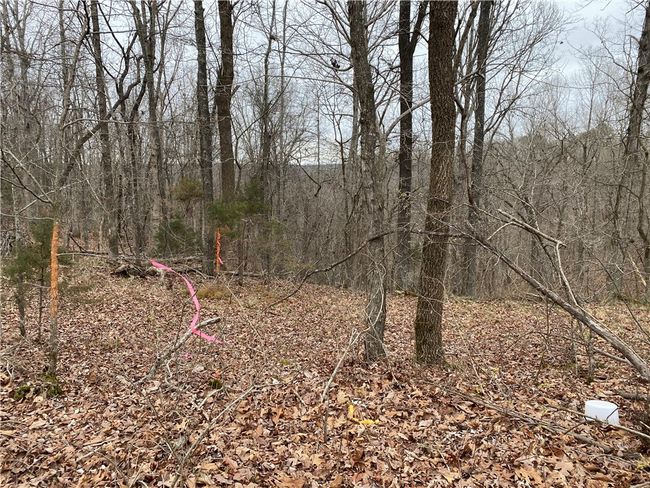 000 Holmes Rd, Home with 0 bedrooms, 0 bathrooms and null parking in Mountain View AR | Image 15