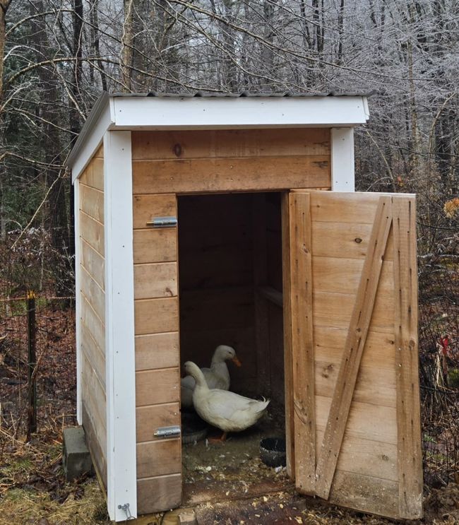 26 Heights Ln, House other with 3 bedrooms, 1 bathrooms and null parking in Sullivan NH | Image 13
