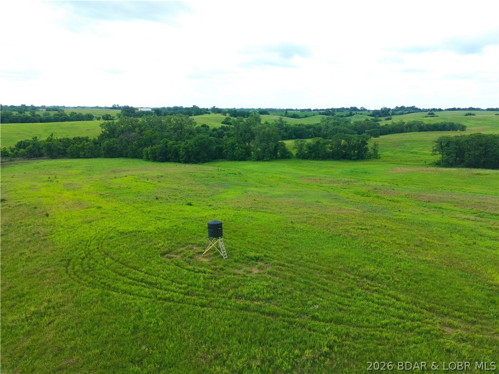 Farm in Other 3