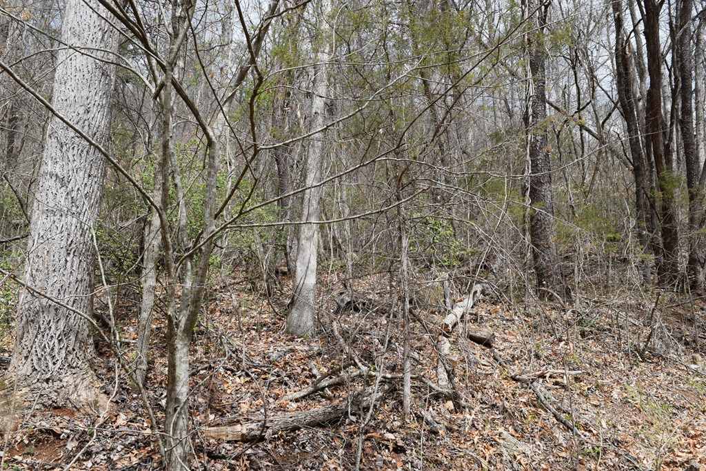 Land in Cullowhee 3