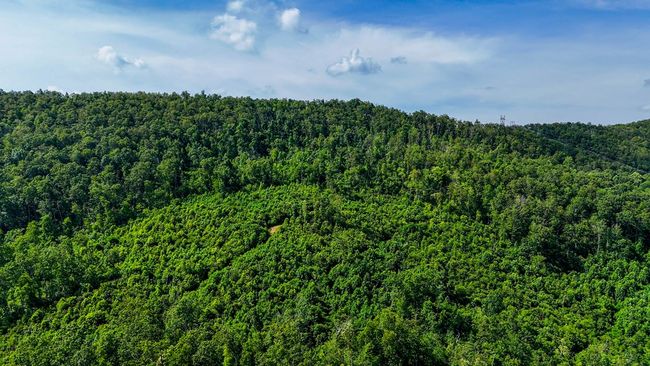 2486 Laurel Fork Rd, Home with 0 bedrooms, 0 bathrooms and null parking in Rocky Gap VA | Image 46