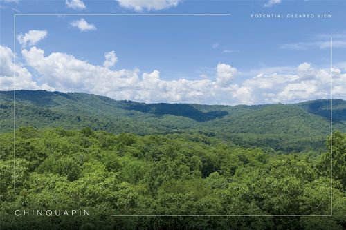 8 New Settlers Way, Glenville, NC, 28736-0390 | Card Image