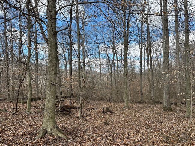 126 Northcutts Cove Rd, Home with 0 bedrooms, 0 bathrooms and null parking in Beersheba Springs TN | Image 19