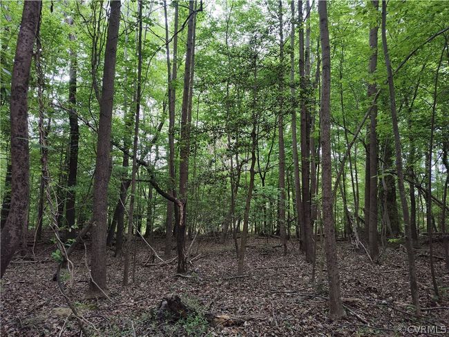 0 Old Church St, Home with 0 bedrooms, 0 bathrooms and null parking in Claremont VA | Image 24