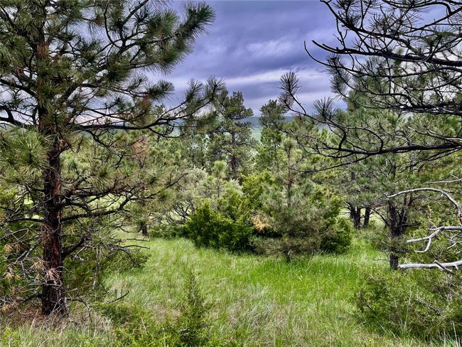 69 Colter Trl, Home with 0 bedrooms, 0 bathrooms and null parking in Columbus MT | Image 18