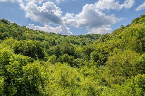 53.19AC Watts Hollow Rd, Buffalo Valley, TN, 38548-5462 | Card Image
