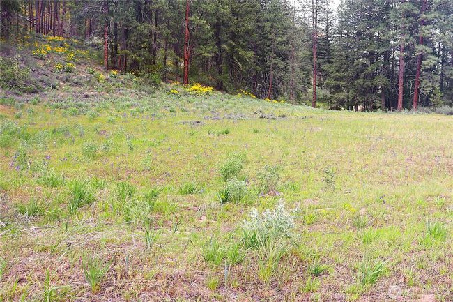 799 Twisp River Rd, Home with 0 bedrooms, 0 bathrooms and null parking in Twisp WA | Image 31
