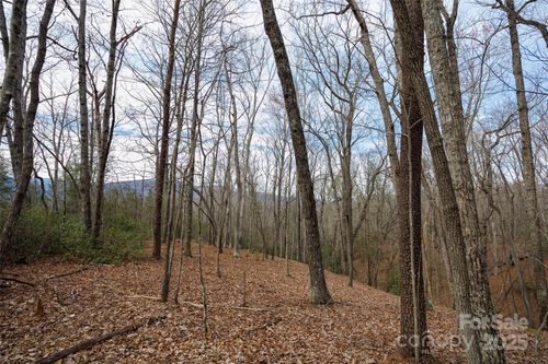 0 Lytle Mountain Rd, Old Fort, NC, 28762 | Card Image