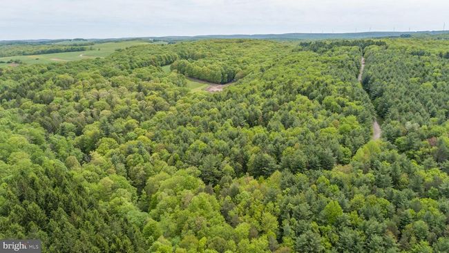 532 Pine Grove Rd, House other with 4 bedrooms, 4 bathrooms and null parking in LONACONING MD | Image 86