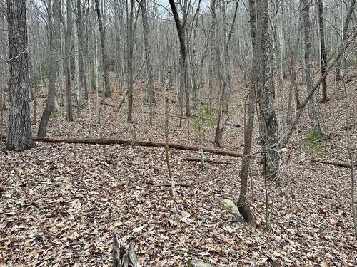 19-15-19 Indian Trl, Murphy, NC, 28906 | Card Image