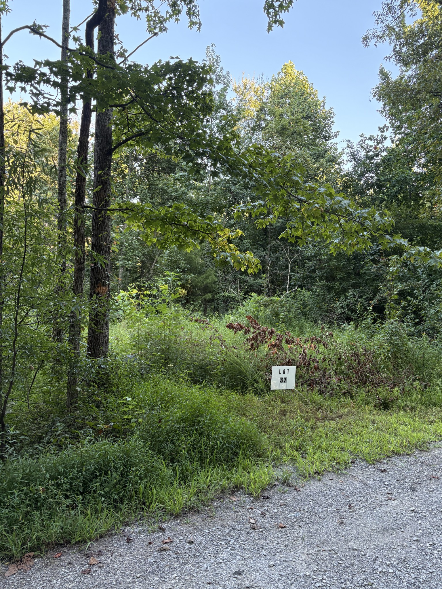 Land in Beechgrove 3