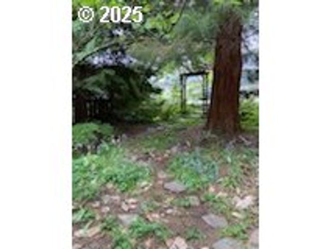 Yard | Image 35