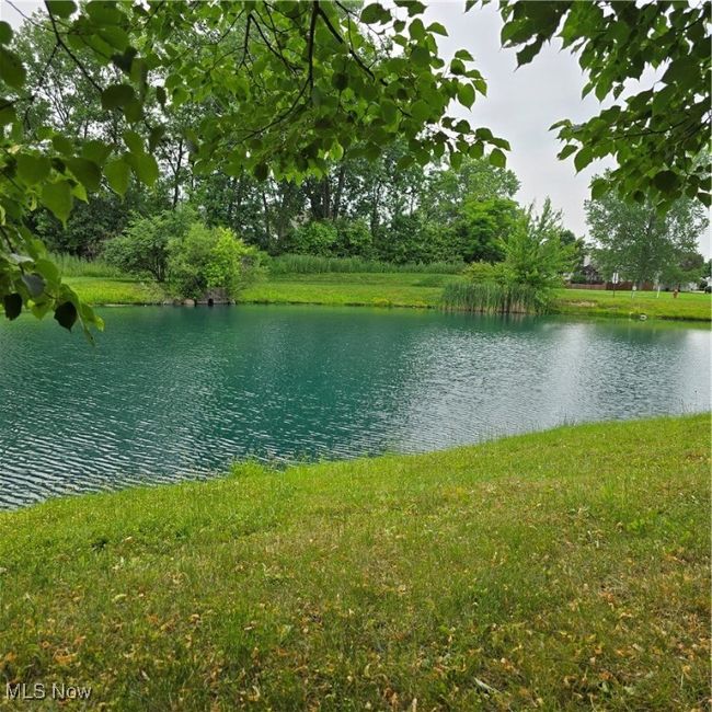 APT-101 - 23002 Chandlers Ln, Condo with 1 bedrooms, 1 bathrooms and null parking in Olmsted Falls OH | Image 16