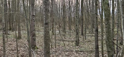 508 Cherry St, Blanchester, OH, 45107-1221 | Card Image