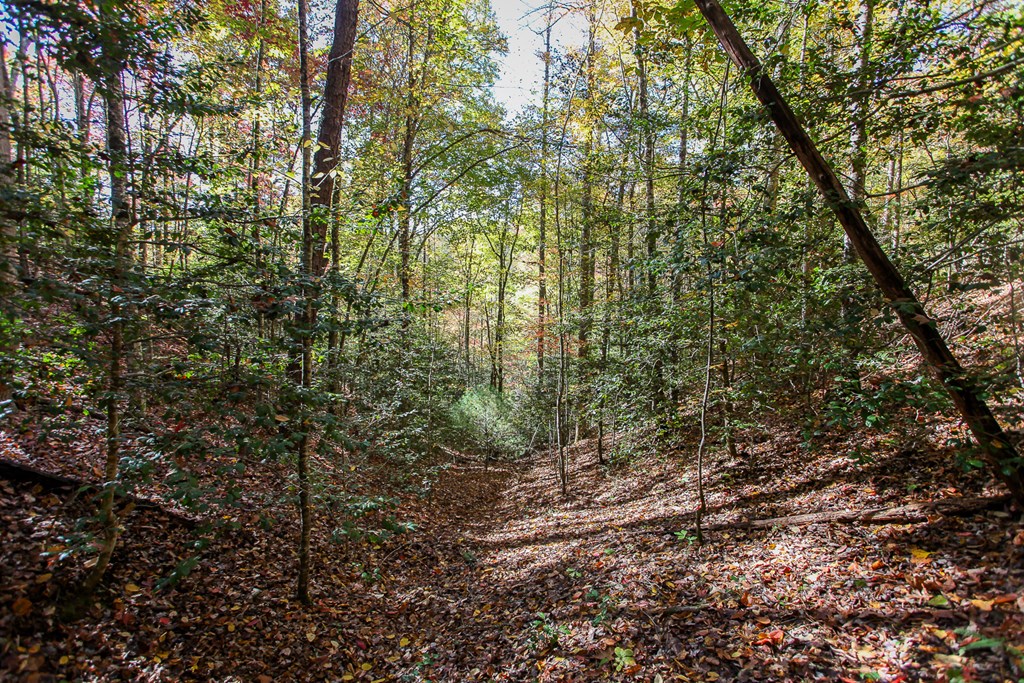 Land in Bryson City 3