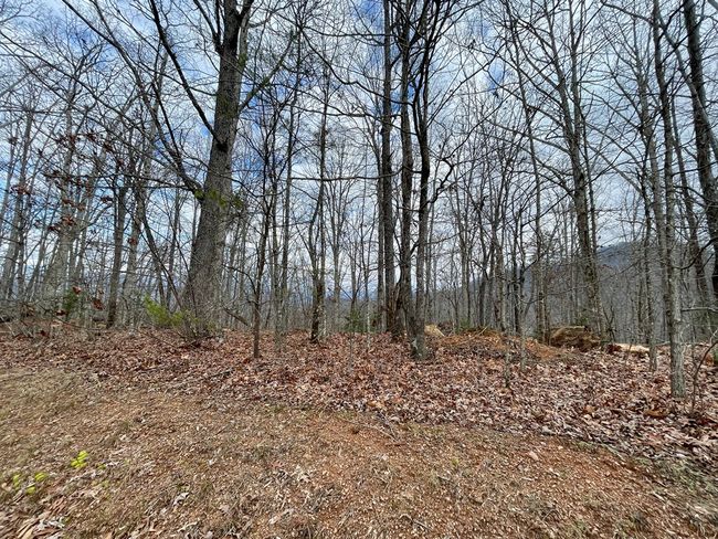 #114 Eagles Vw, Home with 0 bedrooms, 0 bathrooms and null parking in Hayesville NC | Image 4