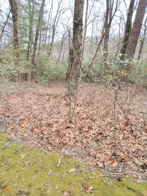 lot-10-and-11-0 LOT 10 & 11 Honey Bear Ln, Dillard, GA, 30537-1925 | Card Image
