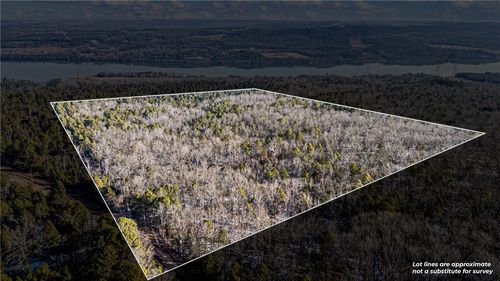 40 Acre, Delaware, AR, 72835 | Card Image