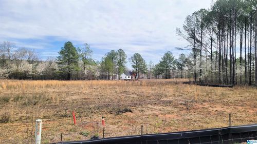 24-1023 Chancellor Ferry Loop, Harpersville, AL, 35078-6522 | Card Image