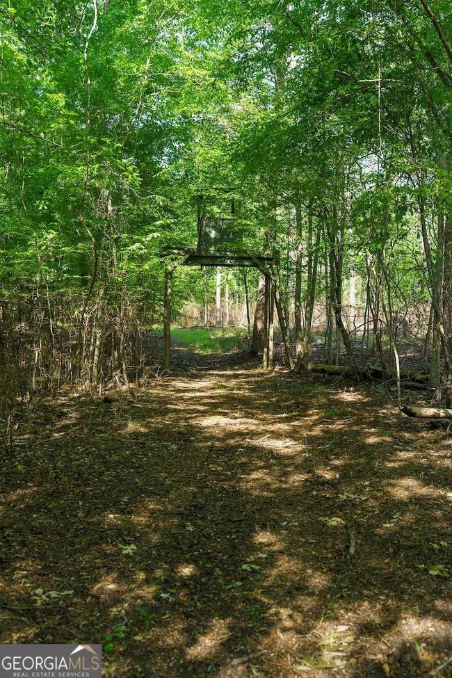 6053 Sun Hill Grange Rd, Home with 0 bedrooms, 0 bathrooms and null parking in Davisboro GA | Image 43