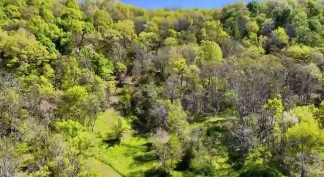 1657 Terrapin Branch Rd, House other with 3 bedrooms, 2 bathrooms and null parking in Mount Pleasant TN | Image 42